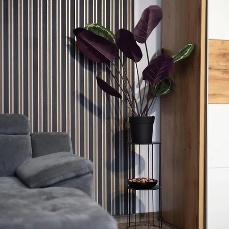 T29 Apartment * بودابست